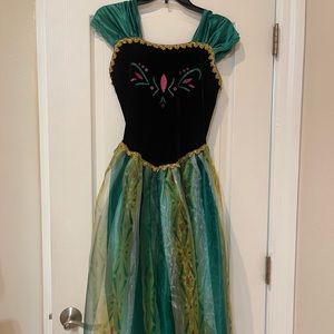 Frozen Ana adult costume